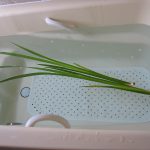 IMG_5874