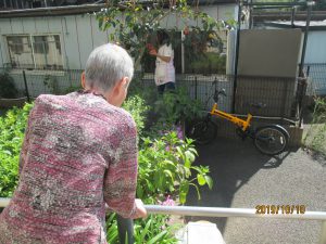IMG_0137