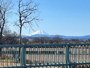 IMG_5449