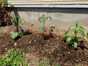 LINE_ALBUM_2025042802_250428_1