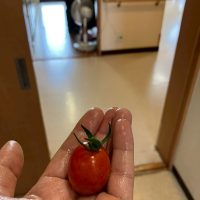 LINE_ALBUM_20250617_250617_1