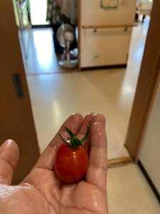 LINE_ALBUM_20250617_250617_1