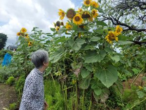 LINE_ALBUM_2025716_250716_1