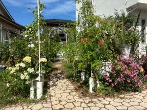 LINE_ALBUM_20251018_251018_6