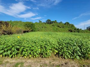 LINE_ALBUM_20251029_251029_30