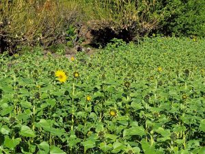 LINE_ALBUM_20251029_251029_31