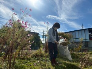 LINE_ALBUM_20251104_251104_17