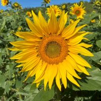 LINE_ALBUM_20251104_251104_22