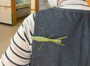 LINE_ALBUM_20251104_251104_7