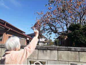 Screenshot_20251110-082103_Photos