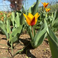 LINE_ALBUM_20260321_260321_6