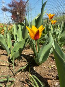 LINE_ALBUM_20260321_260321_6