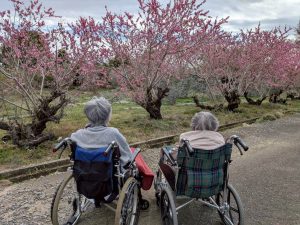 LINE_ALBUM_2026319_260319_31