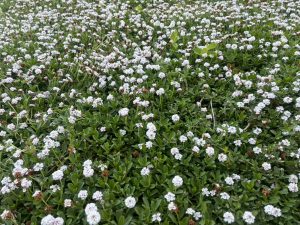 LINE_ALBUM_20260529_260529_1