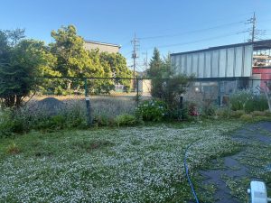 LINE_ALBUM_20260529_260529_3